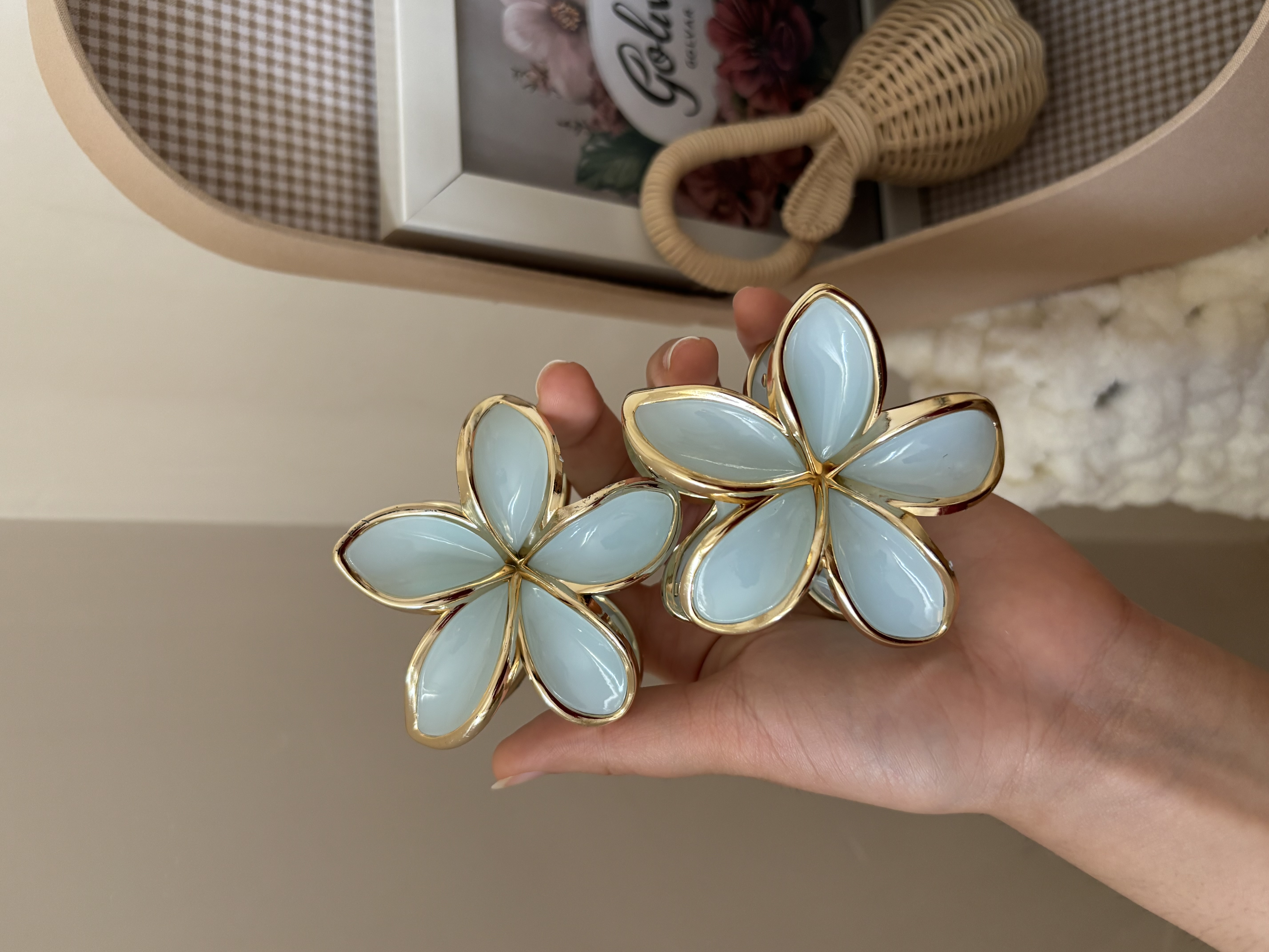 پلومریا دور طلایی✨